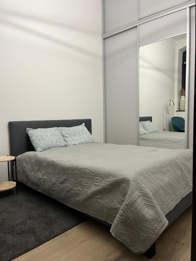 Loft Stara Tkalnia Apartment Жельона Гора Екстериор снимка